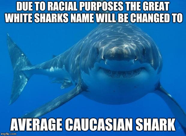 Straight White Shark | DUE TO RACIAL PURPOSES THE GREAT WHITE SHARKS NAME WILL BE CHANGED TO; AVERAGE CAUCASIAN SHARK | image tagged in straight white shark | made w/ Imgflip meme maker