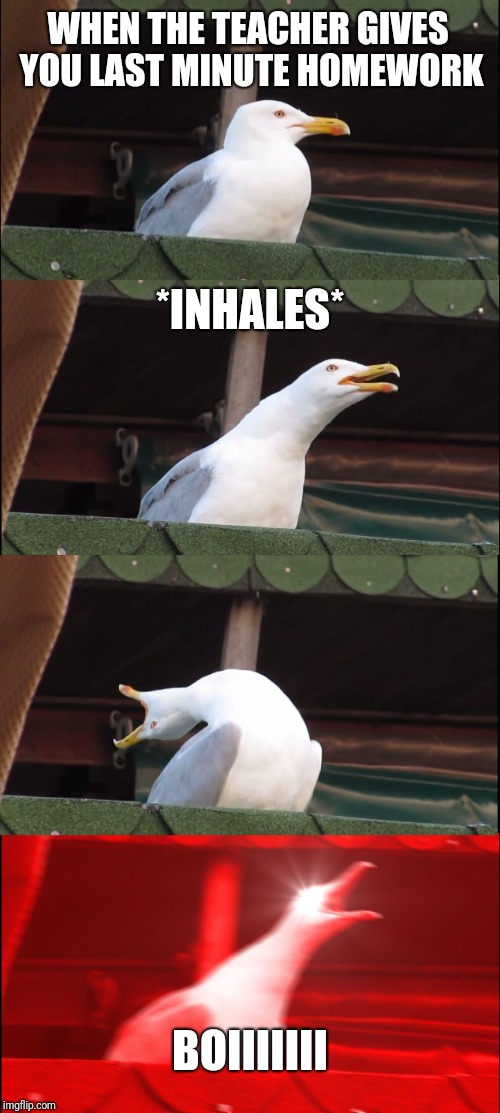 Inhaling Seagull Meme | WHEN THE TEACHER GIVES YOU LAST MINUTE HOMEWORK; *INHALES*; BOIIIIIII | image tagged in memes,inhaling seagull | made w/ Imgflip meme maker