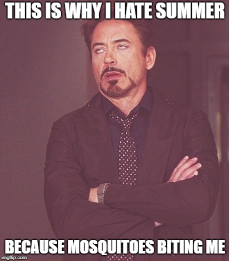 Face You Make Robert Downey Jr Meme | THIS IS WHY I HATE SUMMER; BECAUSE MOSQUITOES BITING ME | image tagged in memes,face you make robert downey jr | made w/ Imgflip meme maker