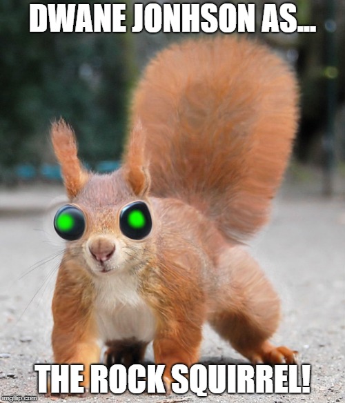 Dwane Johnson as the rock squirrel | DWANE JONHSON AS... THE ROCK SQUIRREL! | image tagged in animalsdwanejohnsonmemefunnylol | made w/ Imgflip meme maker