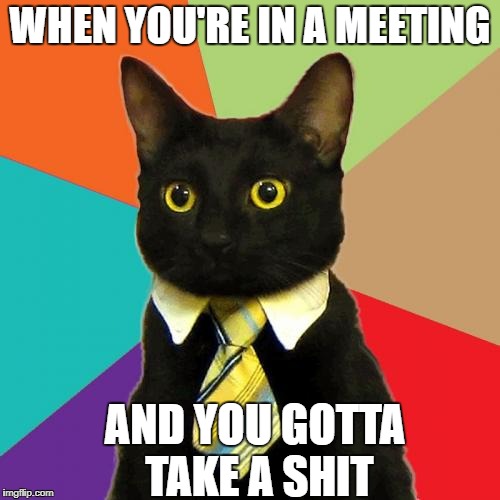 Business Cat | WHEN YOU'RE IN A MEETING; AND YOU GOTTA TAKE A SHIT | image tagged in memes,business cat | made w/ Imgflip meme maker