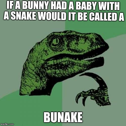 Philosoraptor Meme | IF A BUNNY HAD A BABY WITH A SNAKE WOULD IT BE CALLED A; BUNAKE | image tagged in memes,philosoraptor | made w/ Imgflip meme maker