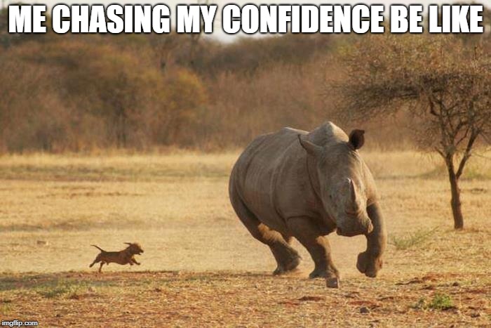 animals | ME CHASING MY CONFIDENCE BE LIKE | image tagged in animals | made w/ Imgflip meme maker