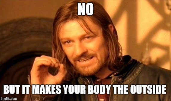 One Does Not Simply Meme | NO BUT IT MAKES YOUR BODY THE OUTSIDE | image tagged in memes,one does not simply | made w/ Imgflip meme maker