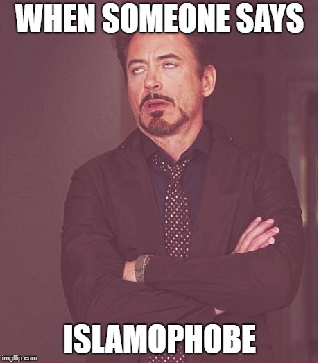 Face You Make Robert Downey Jr Meme | WHEN SOMEONE SAYS ISLAMOPHOBE | image tagged in memes,face you make robert downey jr | made w/ Imgflip meme maker