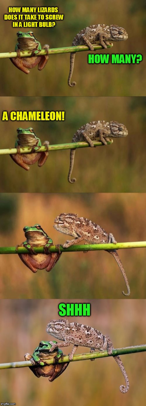 HOW MANY LIZARDS DOES IT TAKE TO SCREW IN A LIGHT BULB? A CHAMELEON! HOW MANY? SHHH | made w/ Imgflip meme maker