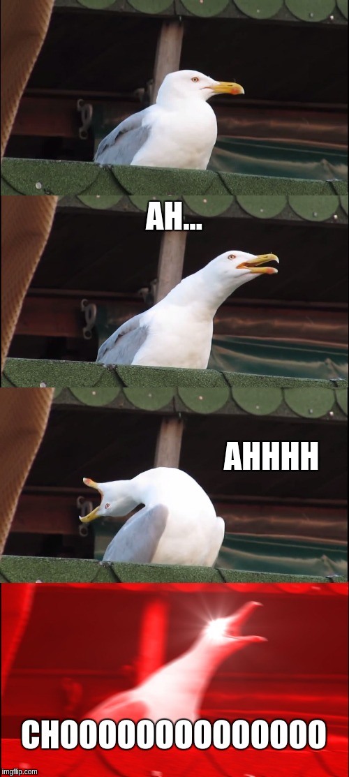 Inhaling Seagull Meme | AH... AHHHH; CHOOOOOOOOOOOOOO | image tagged in memes,inhaling seagull | made w/ Imgflip meme maker