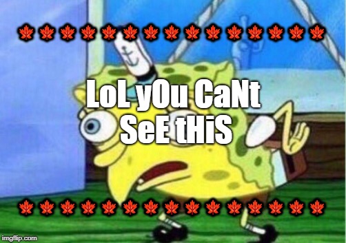 Mocking Spongebob Meme | 🍁🍁🍁🍁🍁🍁🍁🍁🍁🍁🍁🍁🍁🍁🍁; LoL yOu CaNt SeE tHiS; 🍁🍁🍁🍁🍁🍁🍁🍁🍁🍁🍁🍁🍁🍁🍁 | image tagged in memes,mocking spongebob | made w/ Imgflip meme maker