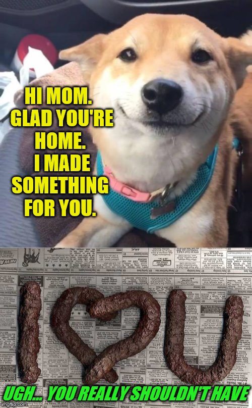 A thoughtful dog. | HI MOM.  GLAD YOU'RE HOME.  I MADE SOMETHING FOR YOU. UGH... YOU REALLY SHOULDN'T HAVE | image tagged in memes,dogs,poop,smiling | made w/ Imgflip meme maker