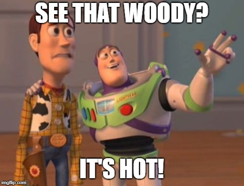 X, X Everywhere Meme | SEE THAT WOODY? IT'S HOT! | image tagged in memes,x x everywhere | made w/ Imgflip meme maker