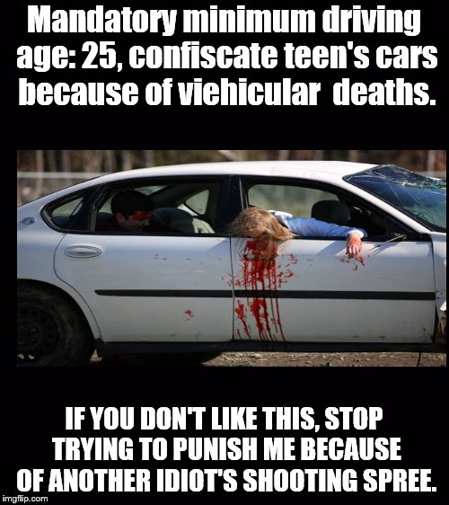Mandatory minimum driving age: 25, confiscate teen's cars because of viehicular  deaths. IF YOU DON'T LIKE THIS, STOP TRYING TO PUNISH ME BECAUSE OF ANOTHER IDIOT'S SHOOTING SPREE. | image tagged in politics | made w/ Imgflip meme maker