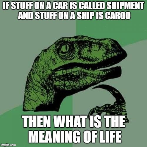 Philosoraptor | IF STUFF ON A CAR IS CALLED SHIPMENT AND STUFF ON A SHIP IS CARGO; THEN WHAT IS THE MEANING OF LIFE | image tagged in memes,philosoraptor | made w/ Imgflip meme maker