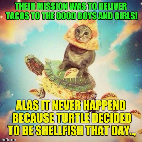 Space Pizza Cat Turtle Tacos | THEIR MISSION WAS TO DELIVER TACOS TO THE GOOD BOYS AND GIRLS! ALAS IT NEVER HAPPEND BECAUSE TURTLE DECIDED TO BE SHELLFISH THAT DAY.., | image tagged in space pizza cat turtle tacos | made w/ Imgflip meme maker