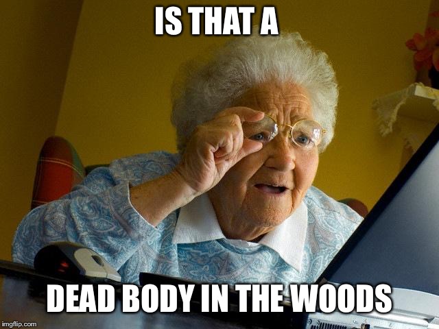 Grandma Finds The Internet Meme | IS THAT A; DEAD BODY IN THE WOODS | image tagged in memes,grandma finds the internet | made w/ Imgflip meme maker