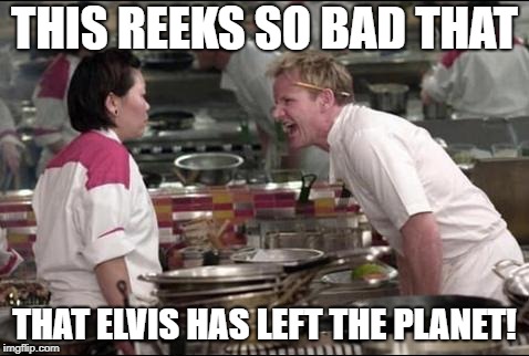 Angry Chef Gordon Ramsay Meme | THIS REEKS SO BAD THAT; THAT ELVIS HAS LEFT THE PLANET! | image tagged in memes,angry chef gordon ramsay | made w/ Imgflip meme maker