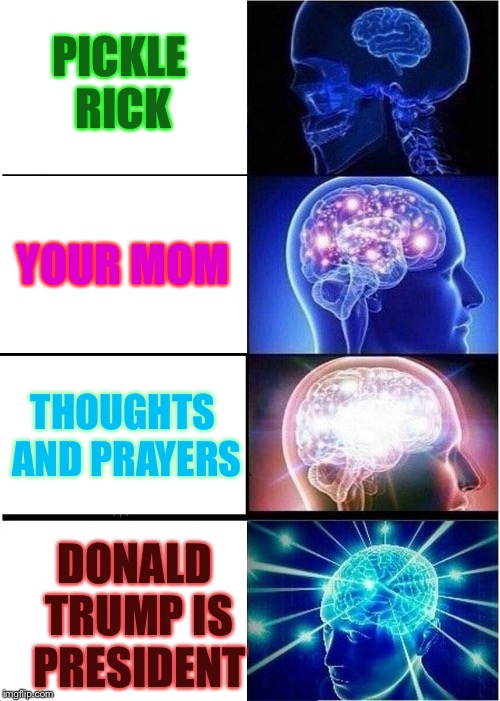 Expanding Brain Meme | PICKLE RICK; YOUR MOM; THOUGHTS AND PRAYERS; DONALD TRUMP IS PRESIDENT | image tagged in memes,expanding brain | made w/ Imgflip meme maker