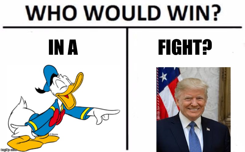 Who Would Win? Meme | IN A; FIGHT? | image tagged in memes,who would win | made w/ Imgflip meme maker