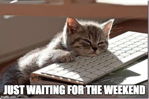 Bored Keyboard Cat | JUST WAITING FOR THE WEEKEND | image tagged in bored keyboard cat | made w/ Imgflip meme maker
