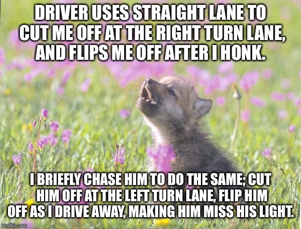 Baby Insanity Wolf Meme | DRIVER USES STRAIGHT LANE TO CUT ME OFF AT THE RIGHT TURN LANE, AND FLIPS ME OFF AFTER I HONK. I BRIEFLY CHASE HIM TO DO THE SAME; CUT HIM OFF AT THE LEFT TURN LANE, FLIP HIM OFF AS I DRIVE AWAY, MAKING HIM MISS HIS LIGHT. | image tagged in memes,baby insanity wolf | made w/ Imgflip meme maker