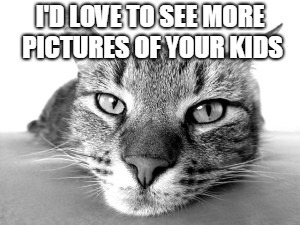 cat face | I'D LOVE TO SEE MORE PICTURES OF YOUR KIDS | image tagged in cat face | made w/ Imgflip meme maker