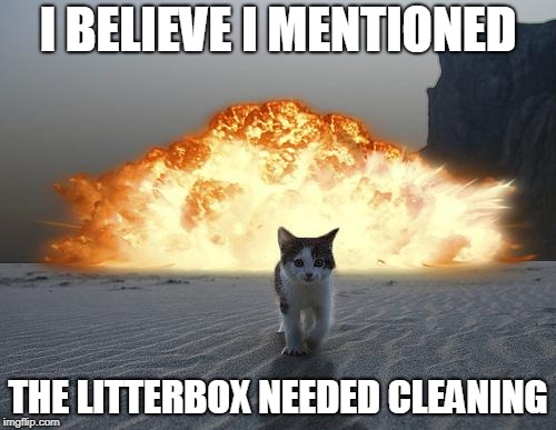 cat explosion | I BELIEVE I MENTIONED; THE LITTERBOX NEEDED CLEANING | image tagged in cat explosion | made w/ Imgflip meme maker