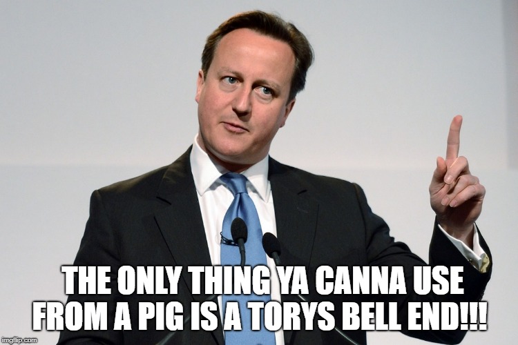 THE ONLY THING YA CANNA USE FROM A PIG IS A TORYS BELL END!!! | image tagged in david cameron | made w/ Imgflip meme maker