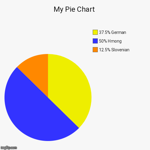 My Pie Chart | 12.5% Slovenian, 50% Hmong, 37.5% German | image tagged in funny,pie charts | made w/ Imgflip chart maker