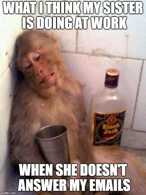 drunk monkey | WHAT I THINK MY SISTER IS DOING AT WORK; WHEN SHE DOESN'T ANSWER MY EMAILS | image tagged in drunk monkey | made w/ Imgflip meme maker