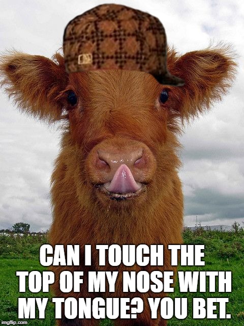 slurp | CAN I TOUCH THE TOP OF MY NOSE WITH MY TONGUE? YOU BET. | image tagged in slurp,scumbag | made w/ Imgflip meme maker
