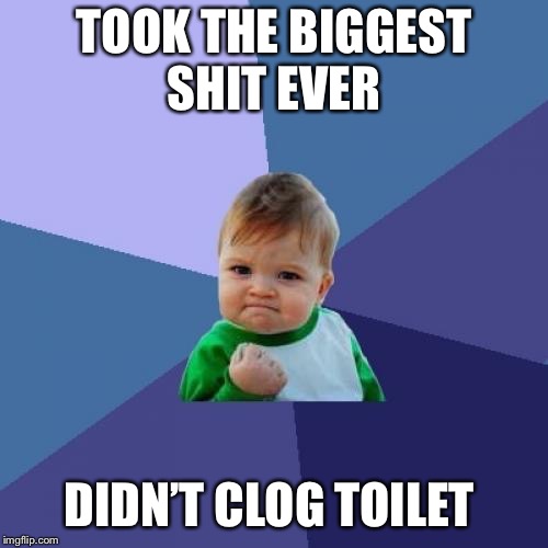 Success Kid Meme | TOOK THE BIGGEST SHIT EVER; DIDN’T CLOG TOILET | image tagged in memes,success kid | made w/ Imgflip meme maker