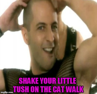 SHAKE YOUR LITTLE TUSH ON THE CAT WALK | made w/ Imgflip meme maker
