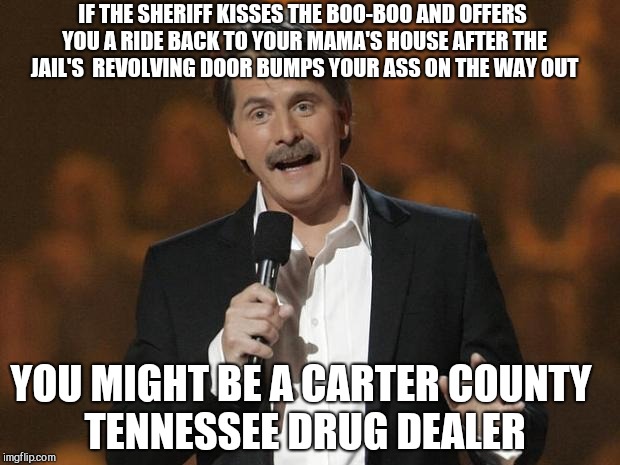 foxworthy | IF THE SHERIFF KISSES THE BOO-BOO AND OFFERS YOU A RIDE BACK TO YOUR MAMA'S HOUSE AFTER THE JAIL'S  REVOLVING DOOR BUMPS YOUR ASS ON THE WAY OUT; YOU MIGHT BE A CARTER COUNTY TENNESSEE DRUG DEALER | image tagged in foxworthy | made w/ Imgflip meme maker
