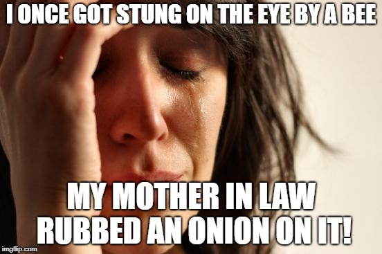 First World Problems Meme | I ONCE GOT STUNG ON THE EYE BY A BEE MY MOTHER IN LAW RUBBED AN ONION ON IT! | image tagged in memes,first world problems | made w/ Imgflip meme maker