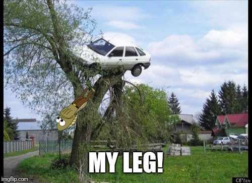 Looks like Fred the fish is a bad driver | MY LEG! | image tagged in memes,secure parking,my leg,my leg guy,spongebob my leg,spongebob | made w/ Imgflip meme maker
