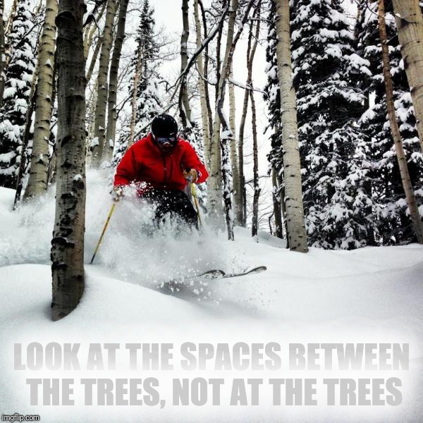 LOOK AT THE SPACES BETWEEN THE TREES, NOT AT THE TREES | made w/ Imgflip meme maker