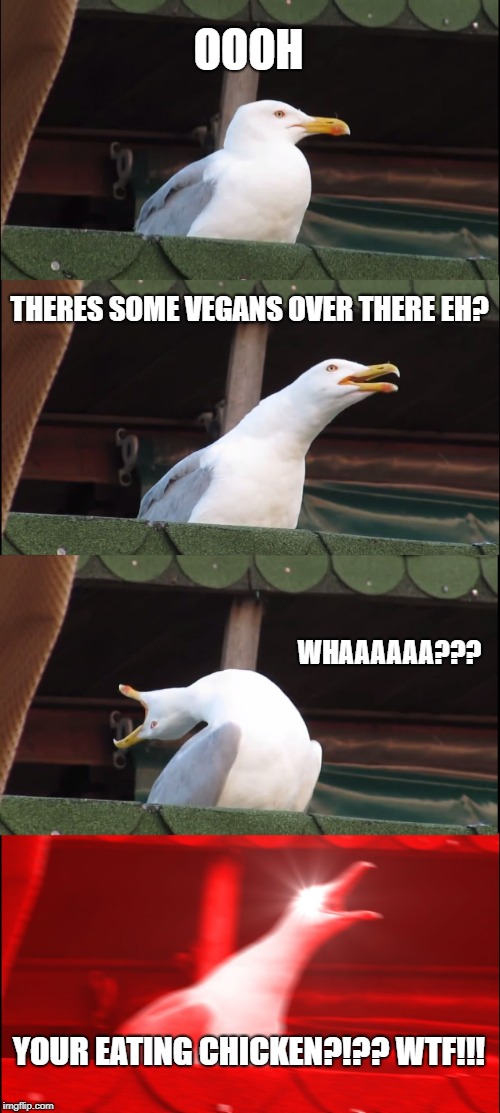 Inhaling Seagull Meme | OOOH; THERES SOME VEGANS OVER THERE EH? WHAAAAAA??? YOUR EATING CHICKEN?!?? WTF!!! | image tagged in memes,inhaling seagull | made w/ Imgflip meme maker