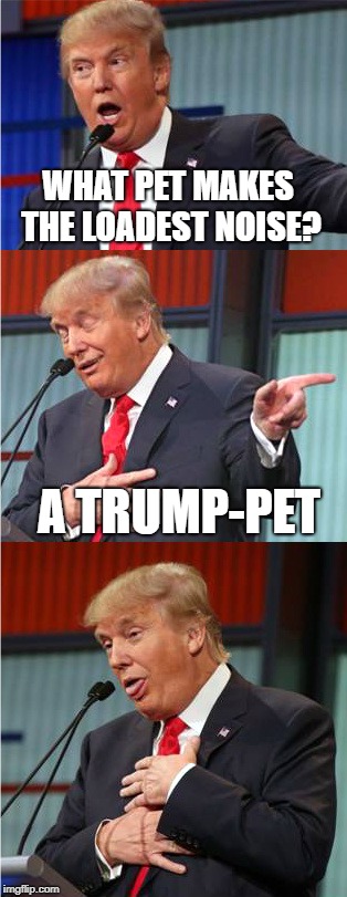 Bad Pun Trump | WHAT PET MAKES THE LOADEST NOISE? A TRUMP-PET | image tagged in bad pun trump | made w/ Imgflip meme maker