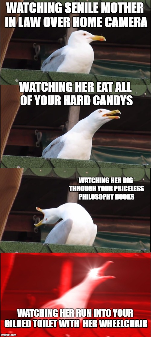 Inhaling Seagull Meme | WATCHING SENILE MOTHER IN LAW OVER HOME CAMERA; WATCHING HER EAT ALL OF YOUR HARD CANDYS; WATCHING HER DIG THROUGH YOUR PRICELESS PHILOSOPHY BOOKS; WATCHING HER RUN INTO YOUR GILDED TOILET WITH  HER WHEELCHAIR | image tagged in memes,inhaling seagull | made w/ Imgflip meme maker
