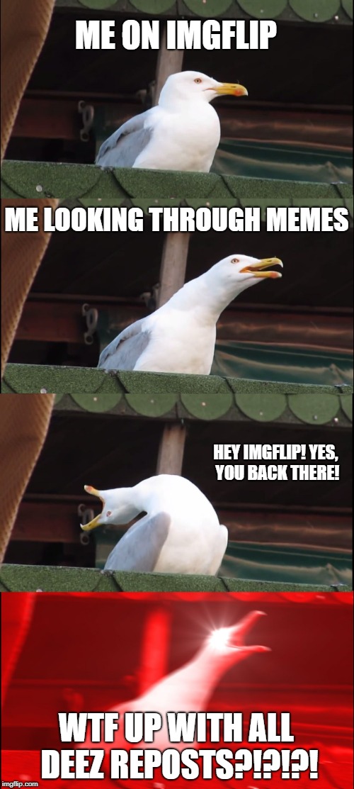 Inhaling Seagull Meme | ME ON IMGFLIP; ME LOOKING THROUGH MEMES; HEY IMGFLIP! YES, YOU BACK THERE! WTF UP WITH ALL DEEZ REPOSTS?!?!?! | image tagged in memes,inhaling seagull | made w/ Imgflip meme maker
