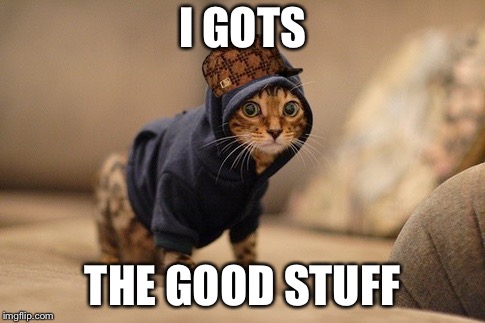 Hoody Cat Meme | I GOTS; THE GOOD STUFF | image tagged in memes,hoody cat,scumbag,drug dealer,cats | made w/ Imgflip meme maker