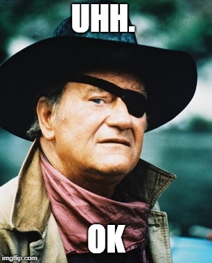 John Wayne  | UHH. OK | image tagged in john wayne | made w/ Imgflip meme maker