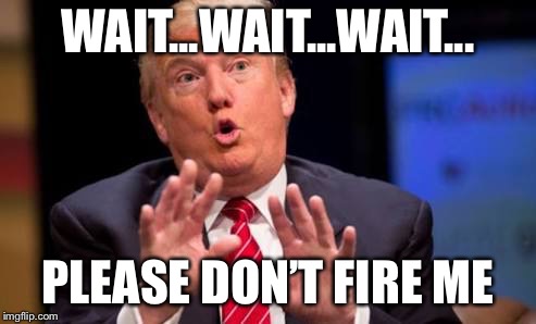 Donald trump meme | WAIT...WAIT...WAIT... PLEASE DON’T FIRE ME | image tagged in donald trump meme | made w/ Imgflip meme maker