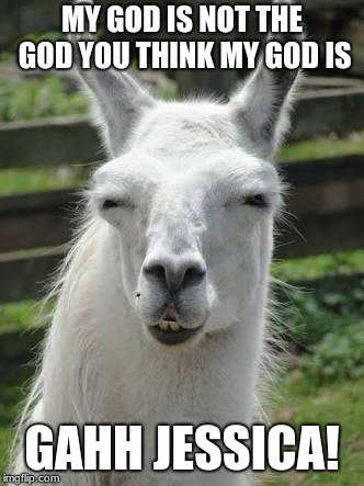 Sexy llama | MY GOD IS NOT THE GOD YOU THINK MY GOD IS; GAHH JESSICA! | image tagged in sexy llama | made w/ Imgflip meme maker