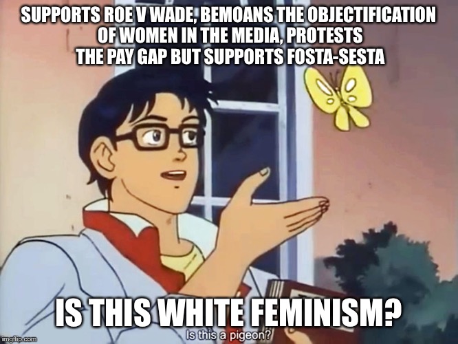 Confused anime guy | SUPPORTS ROE V WADE, BEMOANS THE OBJECTIFICATION OF WOMEN IN THE MEDIA, PROTESTS THE PAY GAP BUT SUPPORTS FOSTA-SESTA; IS THIS WHITE FEMINISM? | image tagged in confused anime guy | made w/ Imgflip meme maker