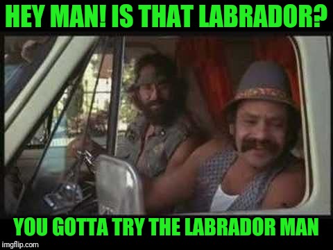 HEY MAN! IS THAT LABRADOR? YOU GOTTA TRY THE LABRADOR MAN | made w/ Imgflip meme maker