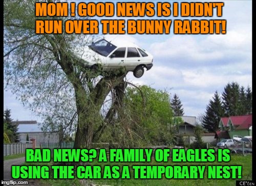 Where Eagles Fly! | MOM ! GOOD NEWS IS I DIDN'T RUN OVER THE BUNNY RABBIT! BAD NEWS? A FAMILY OF EAGLES IS USING THE CAR AS A TEMPORARY NEST! | image tagged in memes,secure parking,driving,animal crossing,student | made w/ Imgflip meme maker