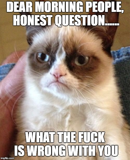 Grumpy Cat Meme | DEAR MORNING PEOPLE, HONEST QUESTION...... WHAT THE FUCK IS WRONG WITH YOU | image tagged in memes,grumpy cat,random | made w/ Imgflip meme maker