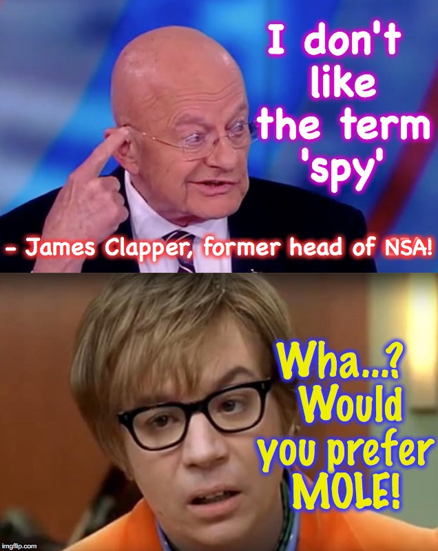 NSA! | image tagged in mole,nsa,spying | made w/ Imgflip meme maker