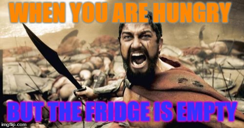 Sparta Leonidas | WHEN YOU ARE HUNGRY; BUT THE FRIDGE IS EMPTY | image tagged in memes,sparta leonidas | made w/ Imgflip meme maker