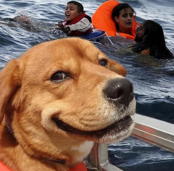 High Quality Disaster Dog Blank Meme Template